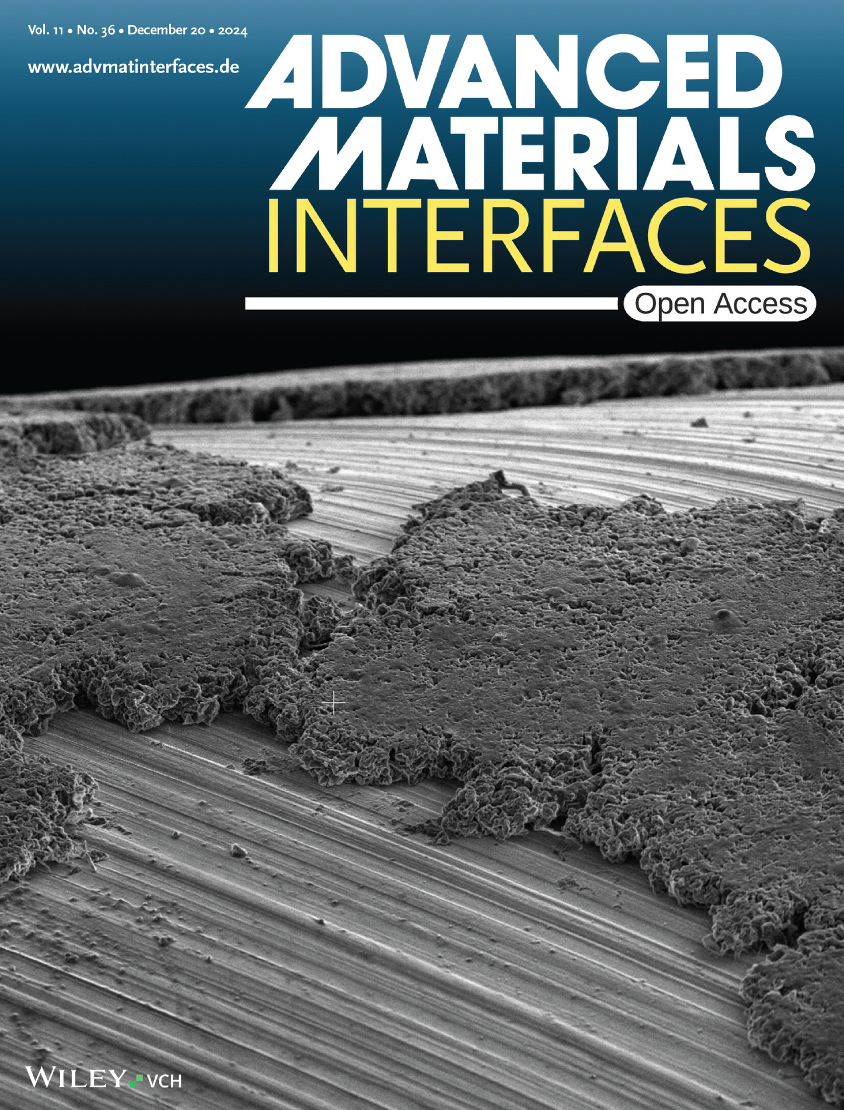 functionalization Figures